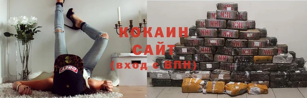 jwh Новозыбков