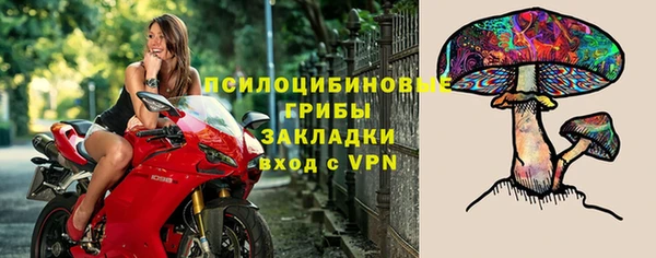 эйфоретик Новокубанск
