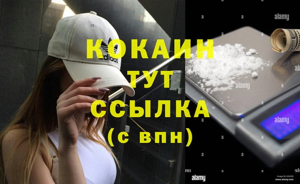 jwh Новозыбков