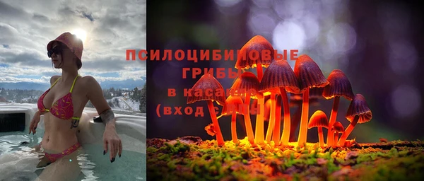 jwh Новозыбков