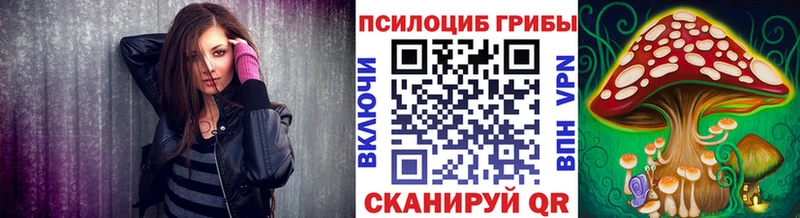 Псилоцибиновые грибы Cubensis  Шелехов 